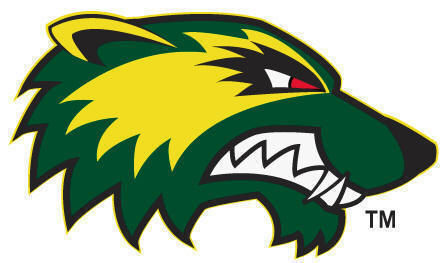 Utah Valley Wolverines 2012-Pres Alternate Logo diy fabric transfer